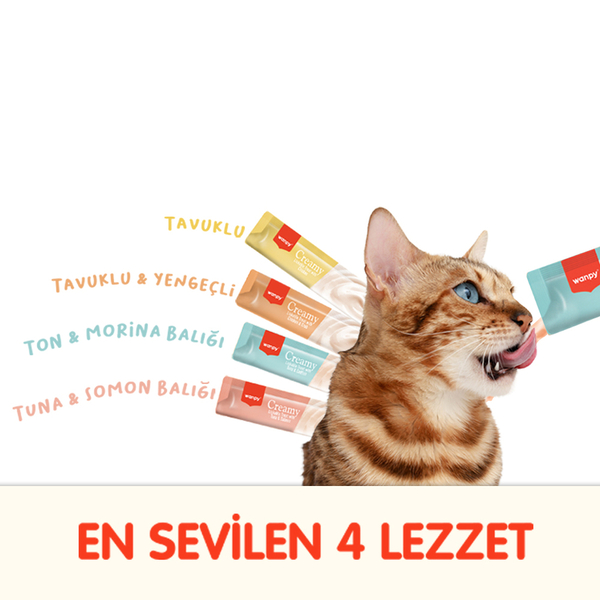 Wanpy Karışık 4 Lezzet 100lü Krema Kedi Ödülü 100 x 14 gr görsel 2
