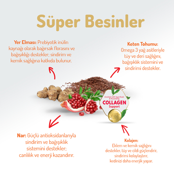 Felicia Kolajenli Tavuklu Az Tahıllı Yavru Kedi Maması görsel 3