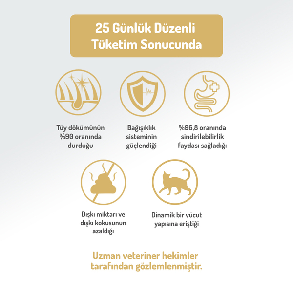 Felicia Kolajenli Kuzulu Az Tahıllı Yavru Kedi Maması görsel 4
