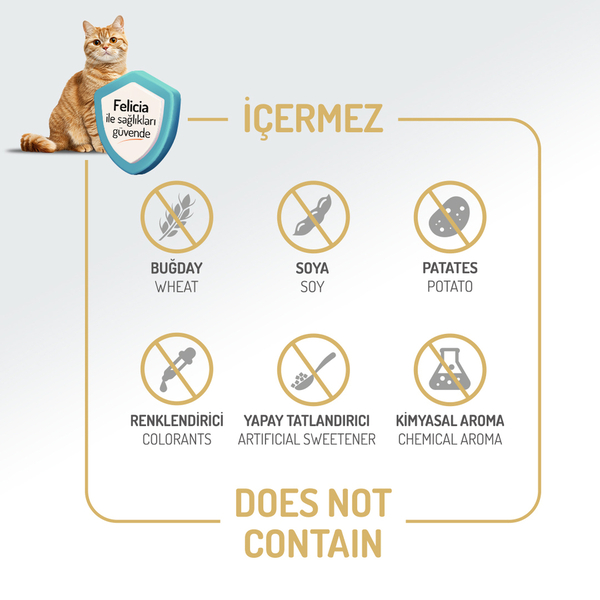 Felicia Kolajenli Somonlu Az Tahıllı Yetişkin Kedi Maması görsel 4