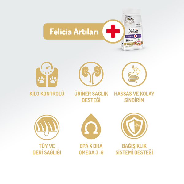 Felicia Kolajenli Somonlu Az Tahıllı Kısırlaştırılmış Kedi Maması görsel 2